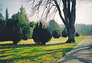 Friedhof Zollikon