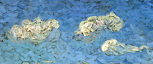 Vincent van Gogh, Gepflügte Felder (Ackerfurchen, 1888, Ausschnitt), Van Gogh Museum, Amsterdam