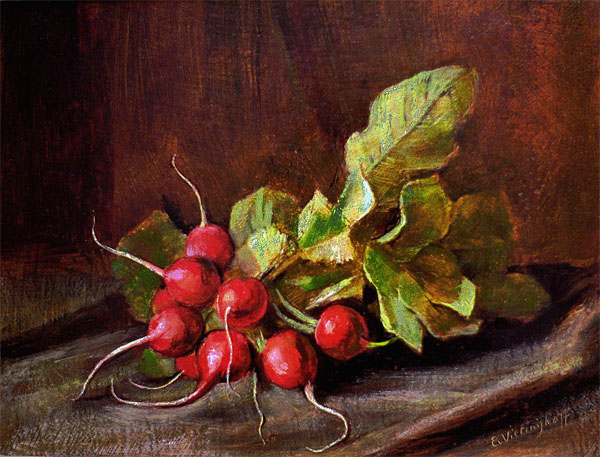 Bunch of red radishes